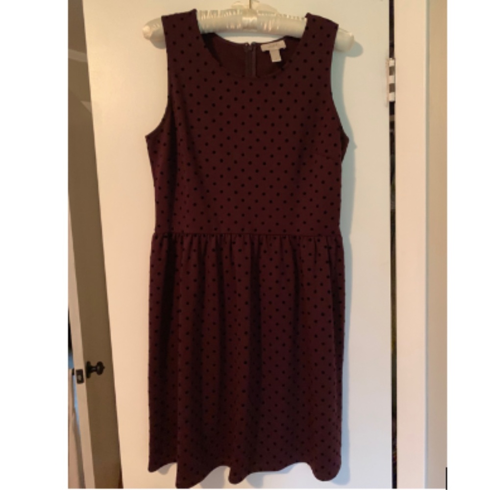 Loft Cranberry and Black A-line Dress